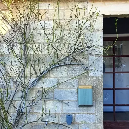 Stone