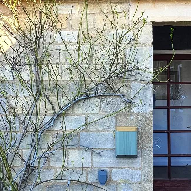 Cotswolds Green x Light Oak lid